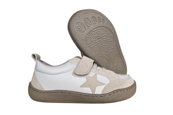 deportivas zapy